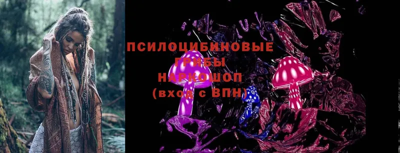 hydra как войти  Бокситогорск  Псилоцибиновые грибы Psilocybine cubensis 